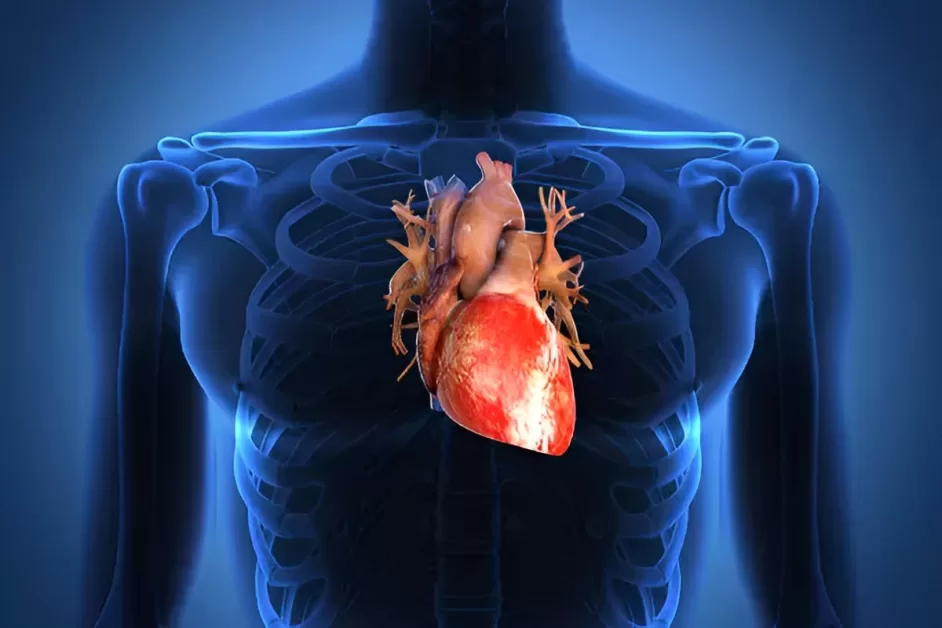 5 Fatos Bizarros sobre o Corpo Humano