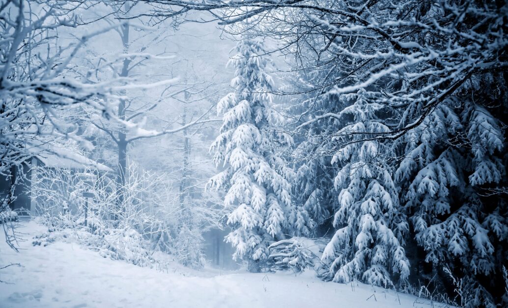 10 Curiosidades Surpreendentes Sobre o Frio