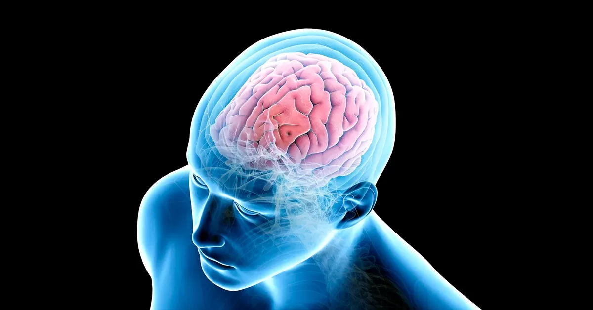 10 Fatos Sobre o Cérebro que vão Explodir sua Mente