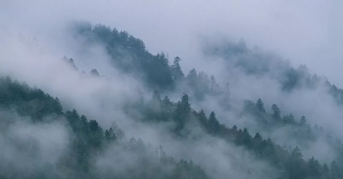 Coisas Sobrenaturais Acontecem nos Montes Apalaches