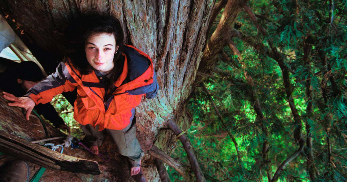 Julia Butterfly Hill: A Mulher que viveu 2 Anos numa Árvore