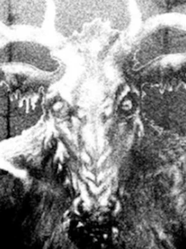 Algo Bizarro está Acontecendo nos Montes Apalaches