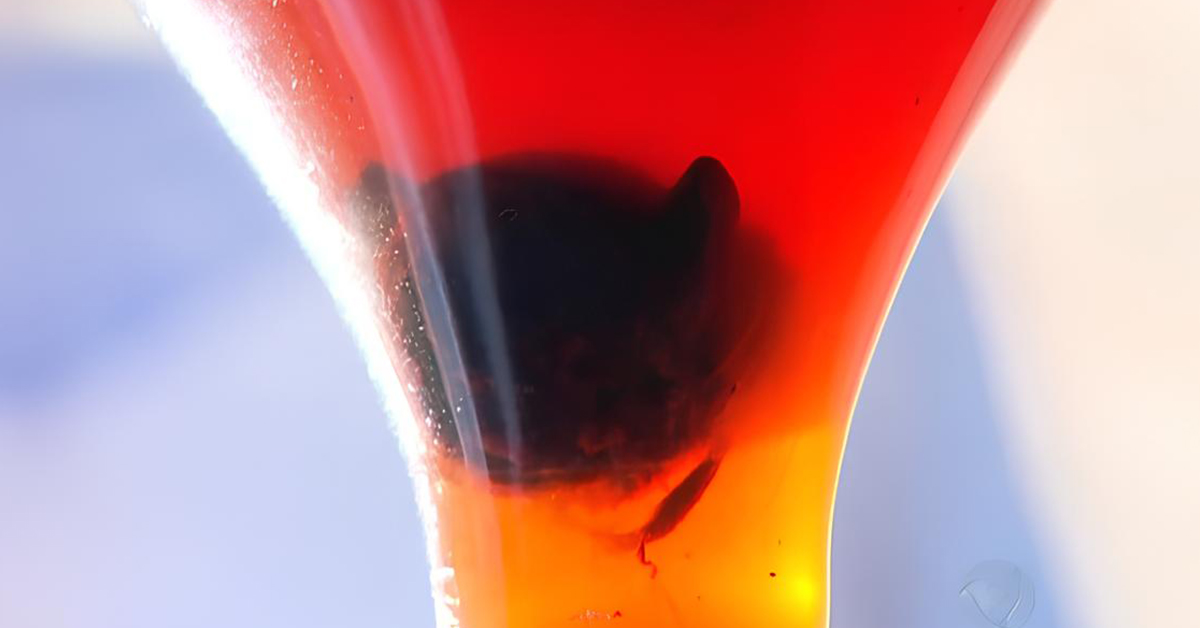 O Caso do Rato na Coca-Cola 25 Anos Depois