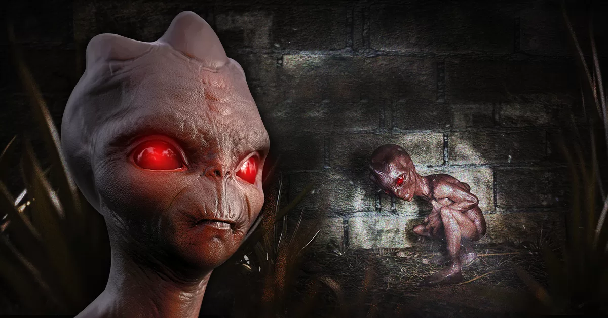 A Verdade sobre o ET de Varginha 30 Anos Depois