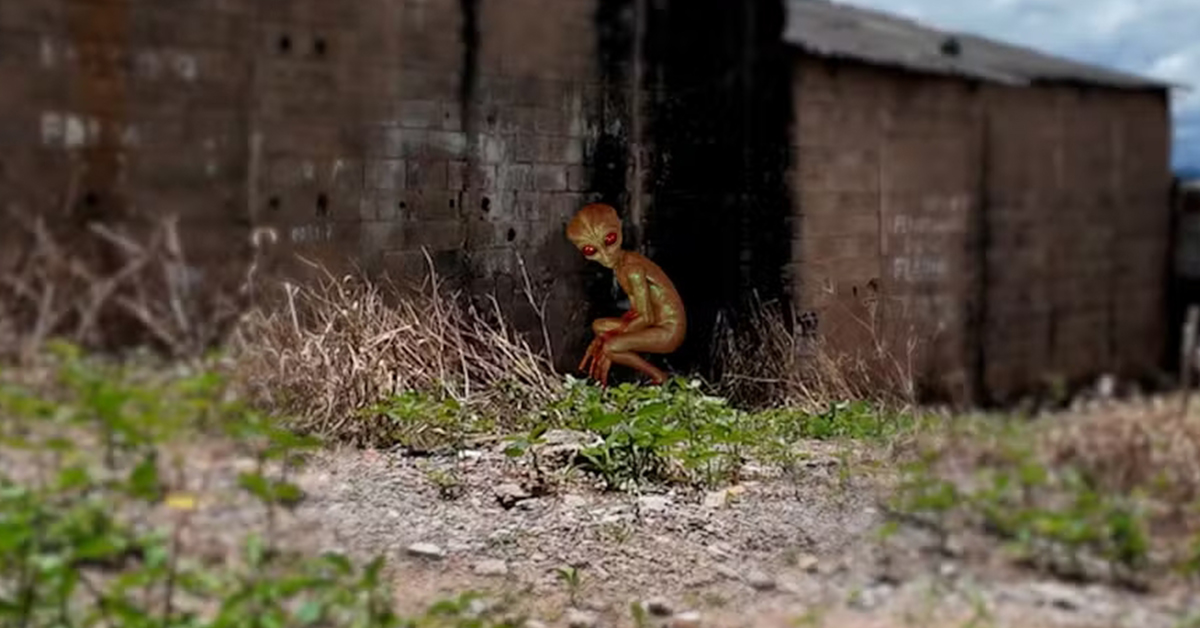 A Verdade sobre o ET de Varginha 30 Anos Depois