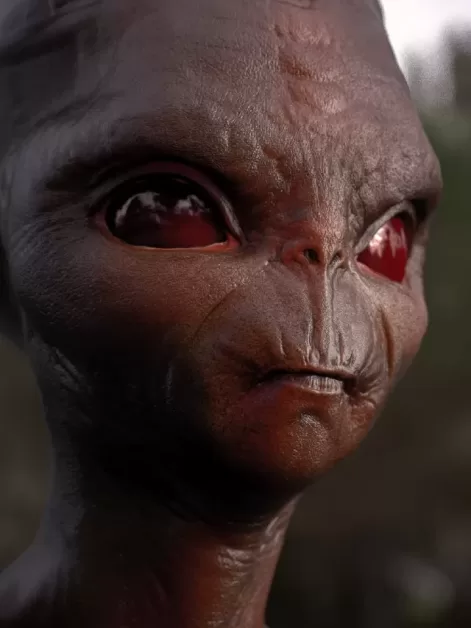 O Caso ET de Varginha 30 Anos Depois